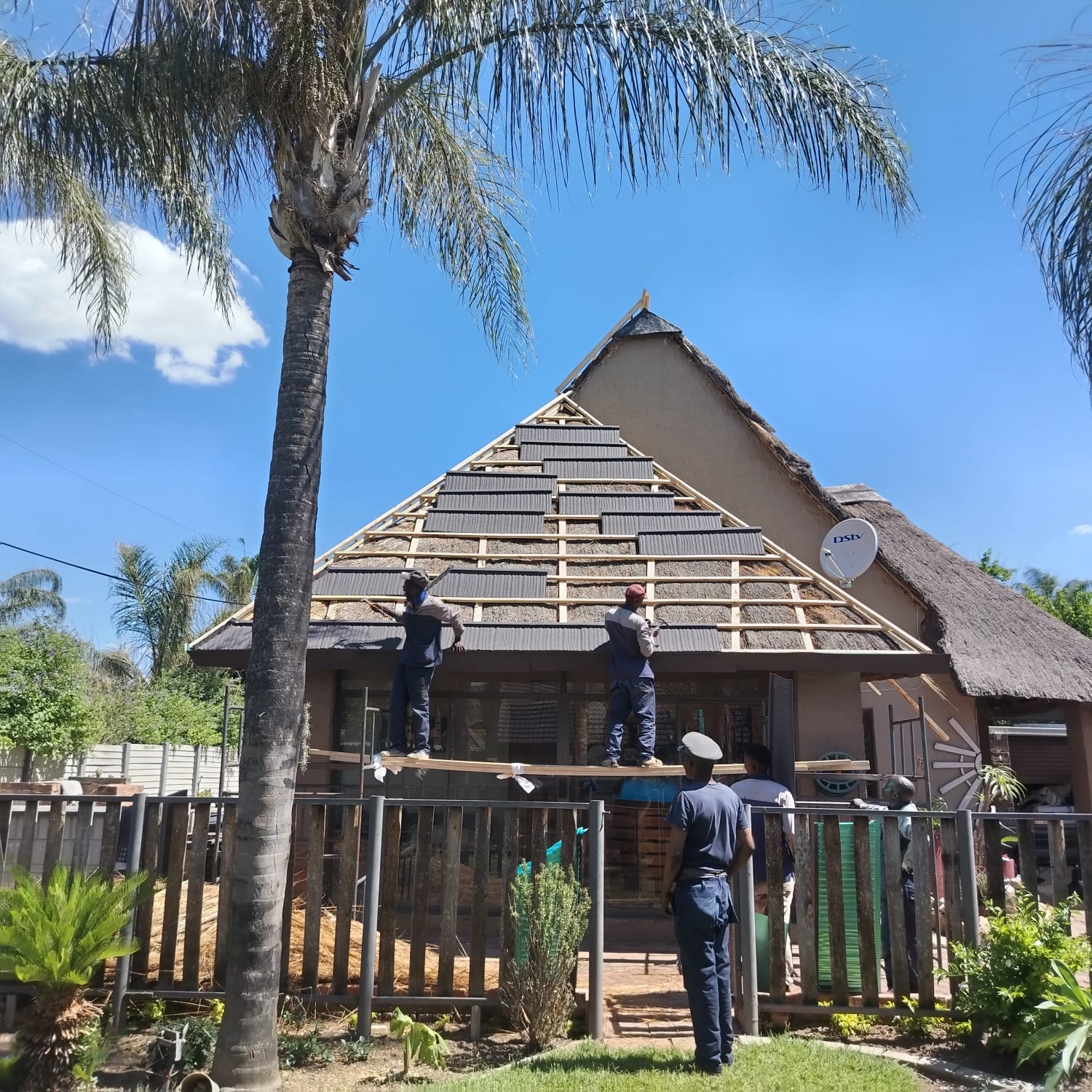 Thatch Masters project preview 4