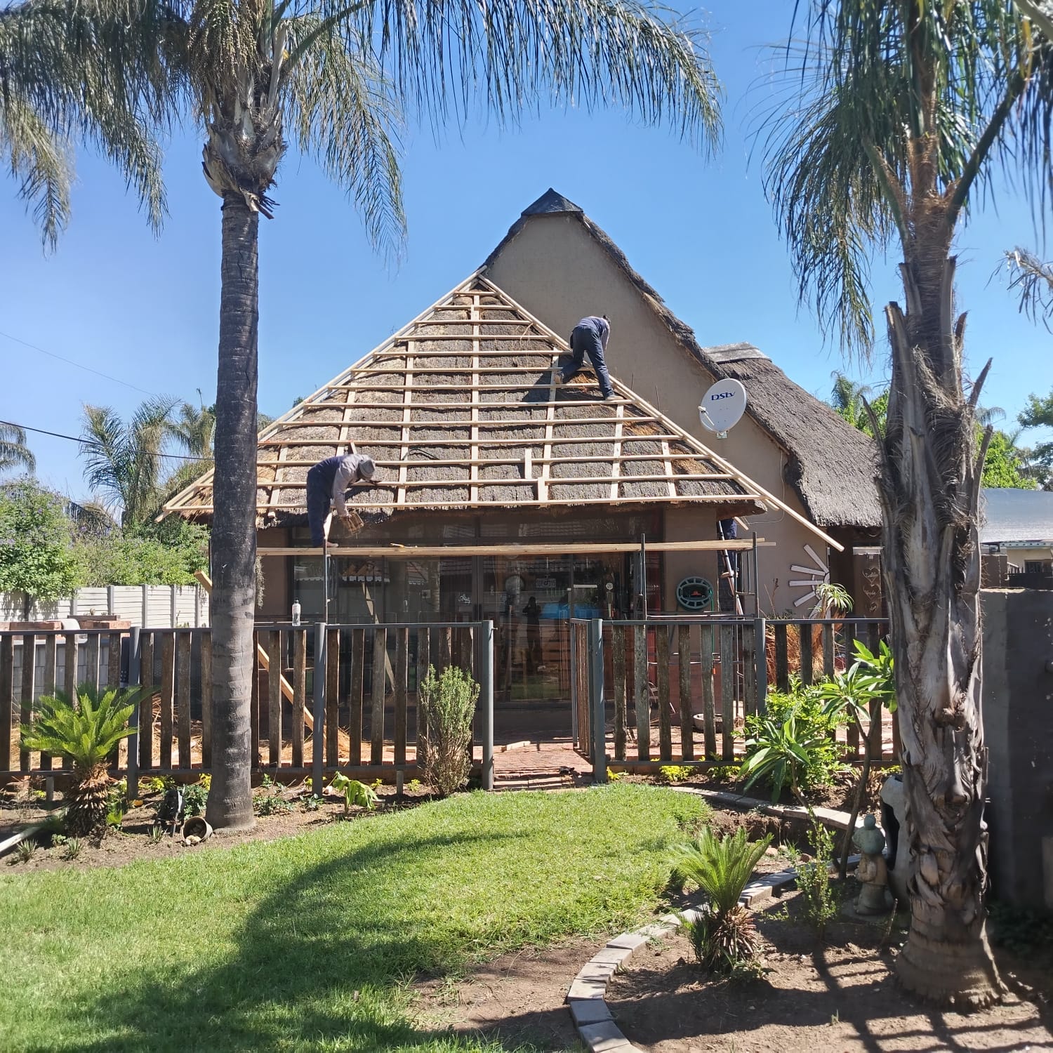 Thatch Masters project preview 3