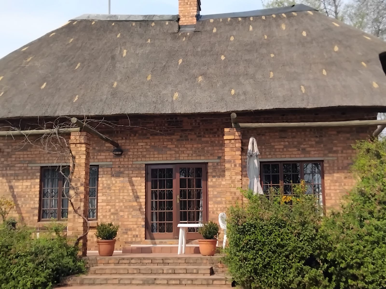 Thatch Masters fire protection work 3